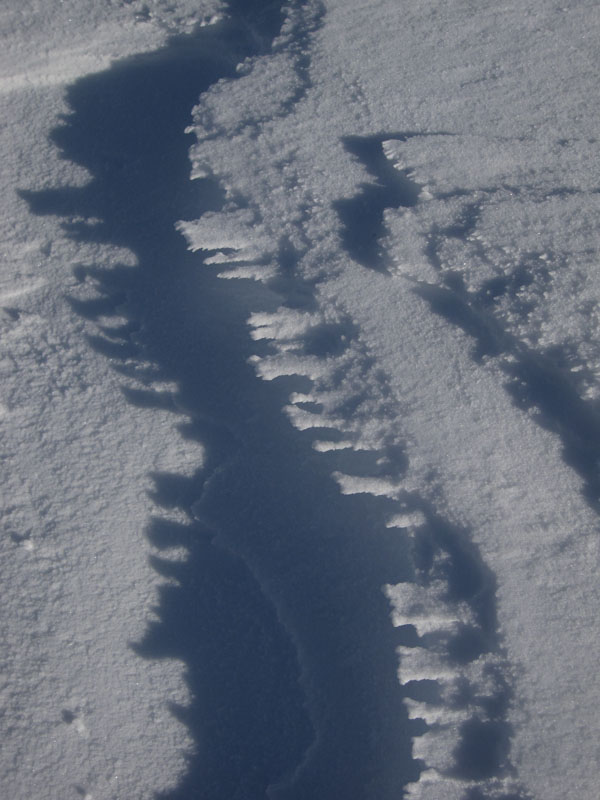 Râtelier : illustration de la cohésion de frittage.