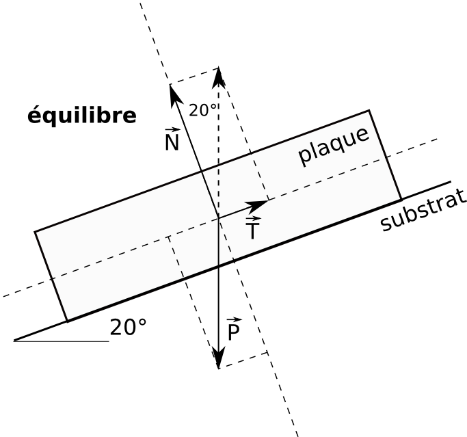 Équilibre de la plaque : forces en jeu
Plaque en équilibre sur une faible pente : illustration des forces en
jeu (poids P, réaction du substrat N, frottements T).