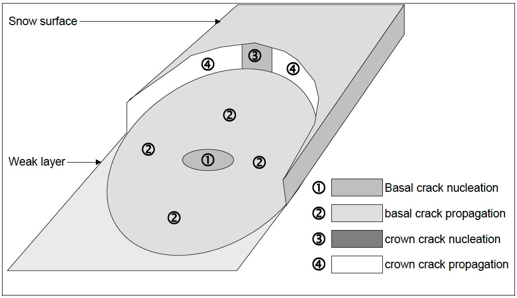 Illustration des quatre étapes successive dans le déclenchement des avalanches
Tiré de Louchet et
Duclos (2006).
