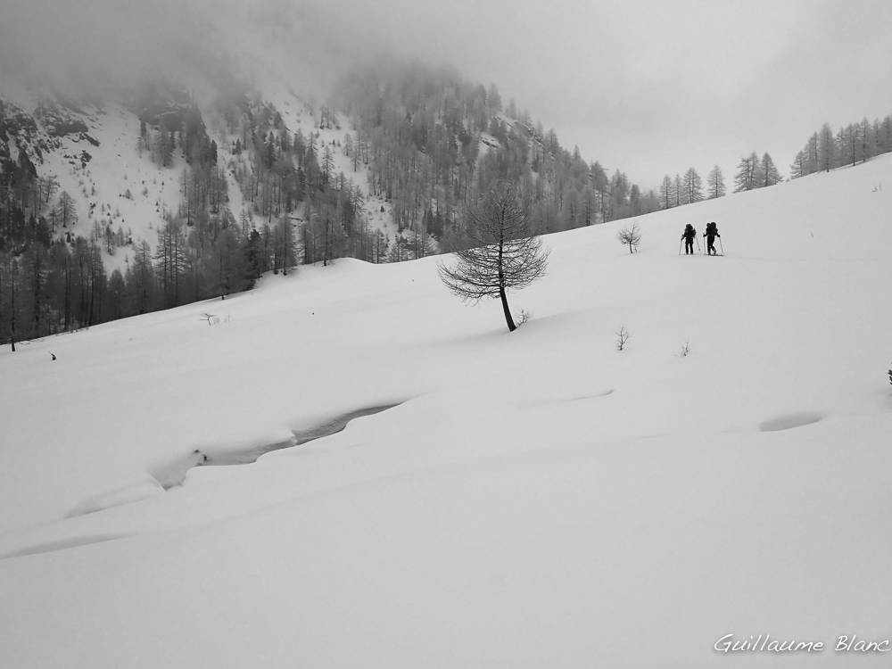 Suspendues