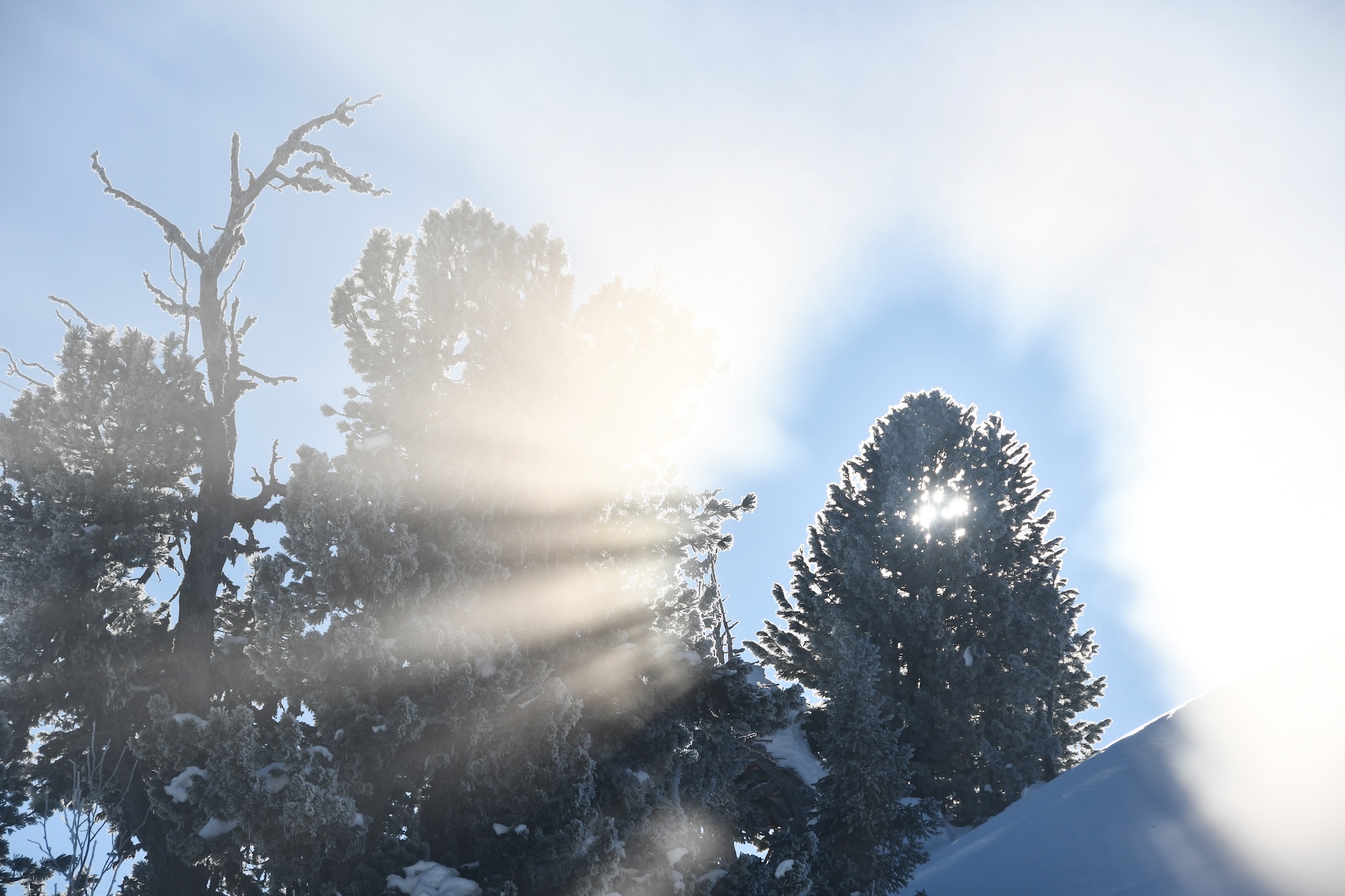 Touché par la grâce