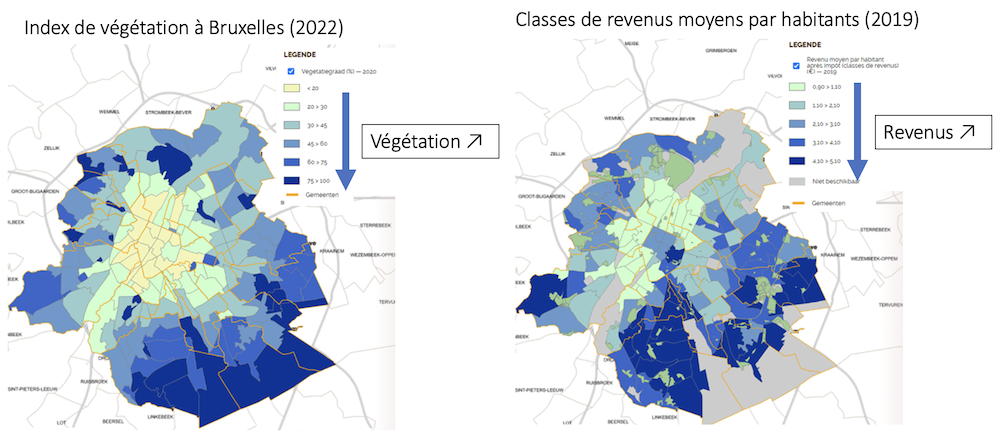 Comparaison entre l’index de végétation (en 2022) et les classes de revenus moyens (2019) à Bruxelles. Plus c’est bleu foncé, plus c’est végétalisé (à gauche) ou riche (à droite).
Source : Greeningthecity.