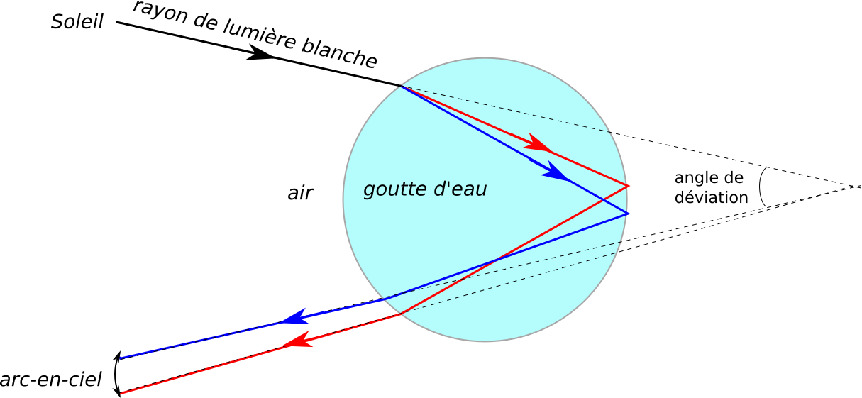 Schéma de la trajectoire d’un rayon de lumière solaire à travers une
goutte d’eau. Les couleurs bleues et rouges sont les rayons
représentant les couleurs extrêmes de l’arc-en-ciel dispersées par la
goutte d’eau. L’angle de déviation est l’angle entre le rayon sortant
et le rayon entrant.