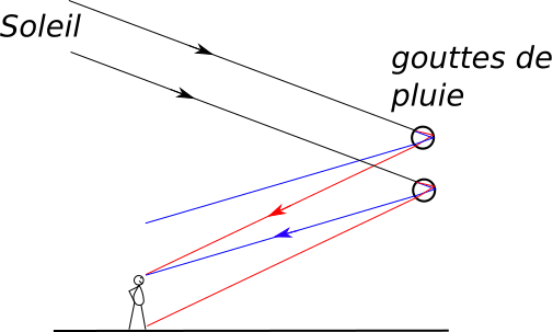 La multitude des gouttes de pluie créé l’arc-en-ciel. La lumière rouge
est plus déviée et provient des gouttes les plus hautes, tandis que la
lumière bleue, moins déviée, arrive à l’œil de l’observateur, fixe,
depuis les gouttes les plus basses. On a donc une inversion des
couleurs par rapport à ce qui se passe pour une seule goutte : le
rouge se retrouve en haut et le bleu en bas.