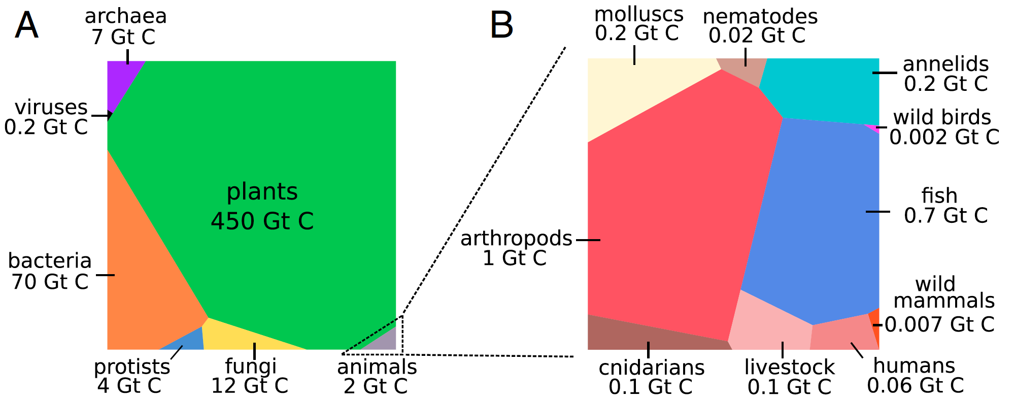 Représentation
graphique de la distribution globale de la biomasse sur Terre, par
groupes taxonomiques d’êtres vivants. L’aire de chaque polygone est proportionnelle à la masse
correspondante du groupe. Le « livestock » représente les animaux
d’élevage. Source : .