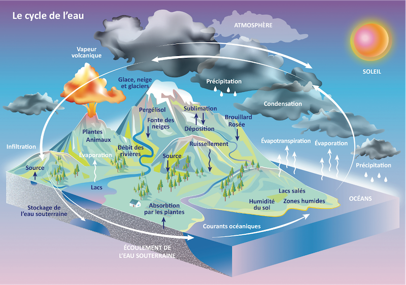 Illustration du cycle de l’eau. Source : , illustration de
Julia Fraud