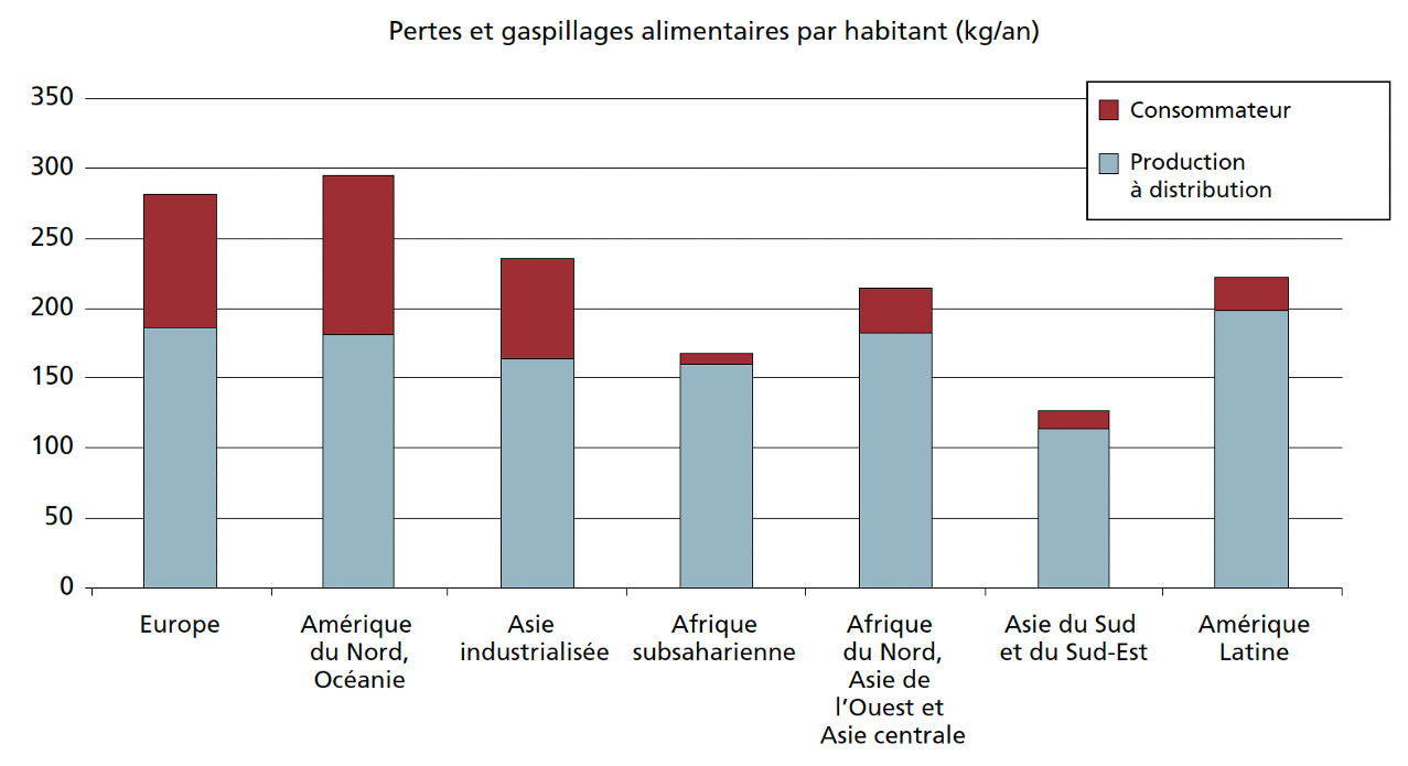 Pertes et gaspillages alimentaires par habitant et par région, aux stades de la consommation et de l’avant consommation (en kg). Source : FAO.