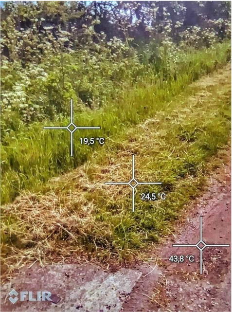 Illustration de l’effet fraicheur d’une végétation abondante.