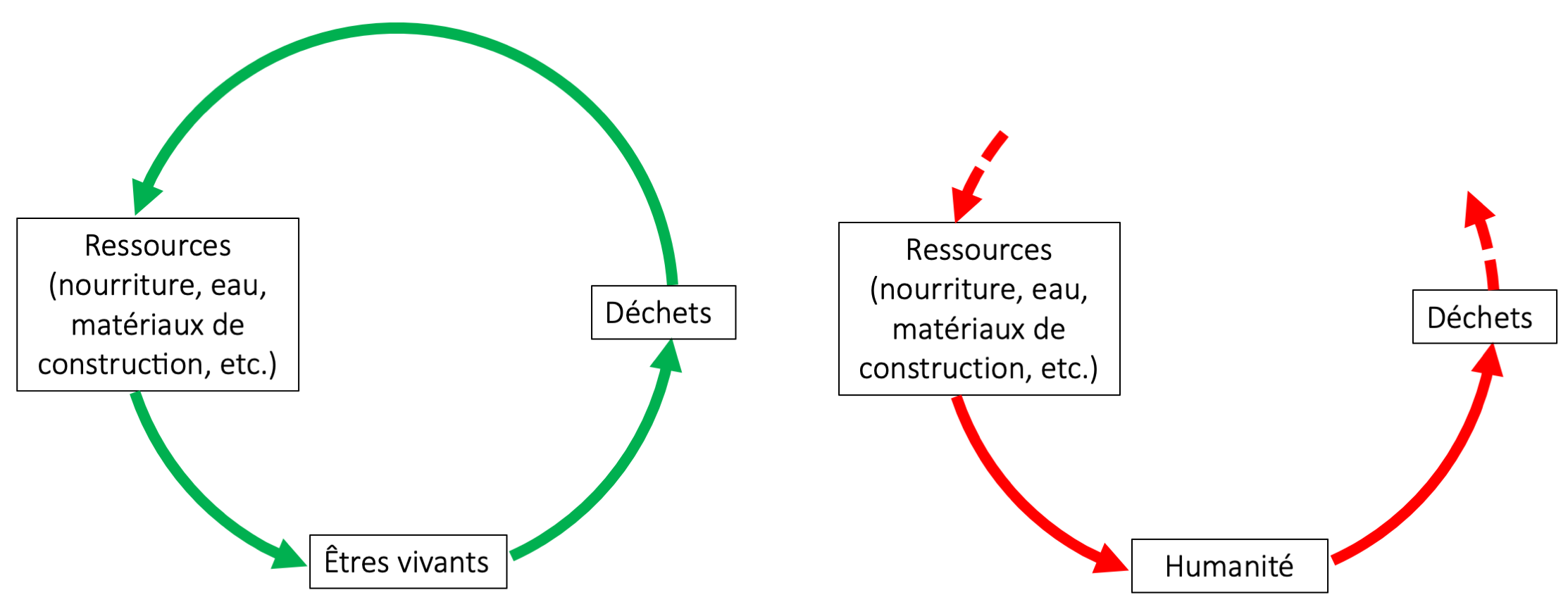 À gauche, les écosystèmes naturels fonctionnent, en moyenne, selon un
cycle fermé, les ressources de certaines espèces sont les déchets
d’autres espèces. Il n’y a, à priori, pas d’accumulation de déchets
toxiques, ou de prélèvements de ressources qui mettent en péril
l’équilibre global. Inversement, à droite, l’humanité a rompu le
cycle, elle puise des ressources de stock et génère des pollutions qui
s’accumulent et qui sont toxiques pour le vivant.