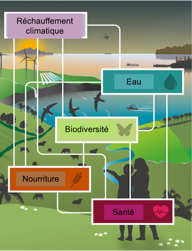 Illustration des liens entre réchauffement climatique, la ressource en
eau, la biodiversité et la nourriture et la santé humaines. Source : 