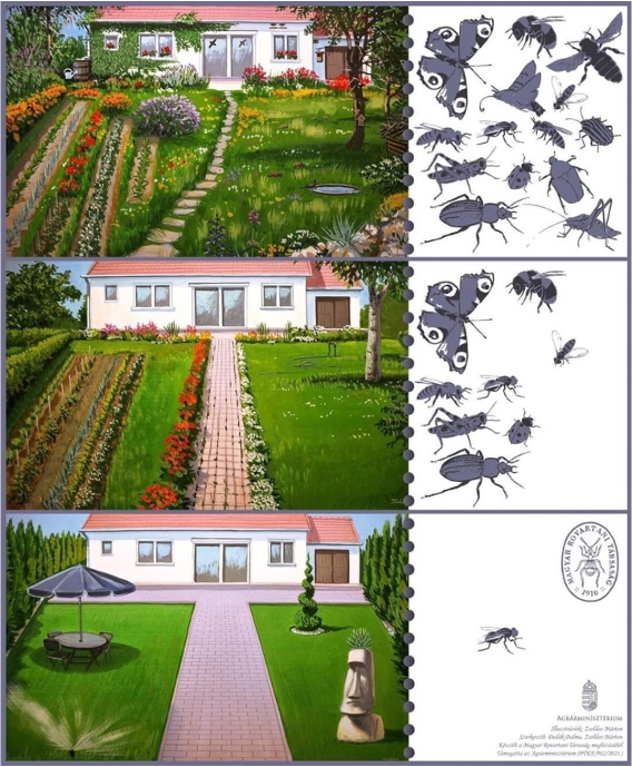 Illustration de la différence de biodiversité entre un jardin de pelouse nu et un jardin remplis d’espèces de plantes différentes.