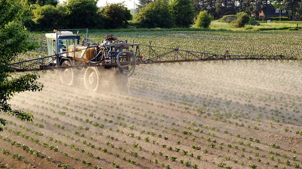 Un agriculteur arrose de pesticides un champ de pommes de terre à Godewaersvelde, dans le Nord, le 30 mai 2012. Source : France Info.