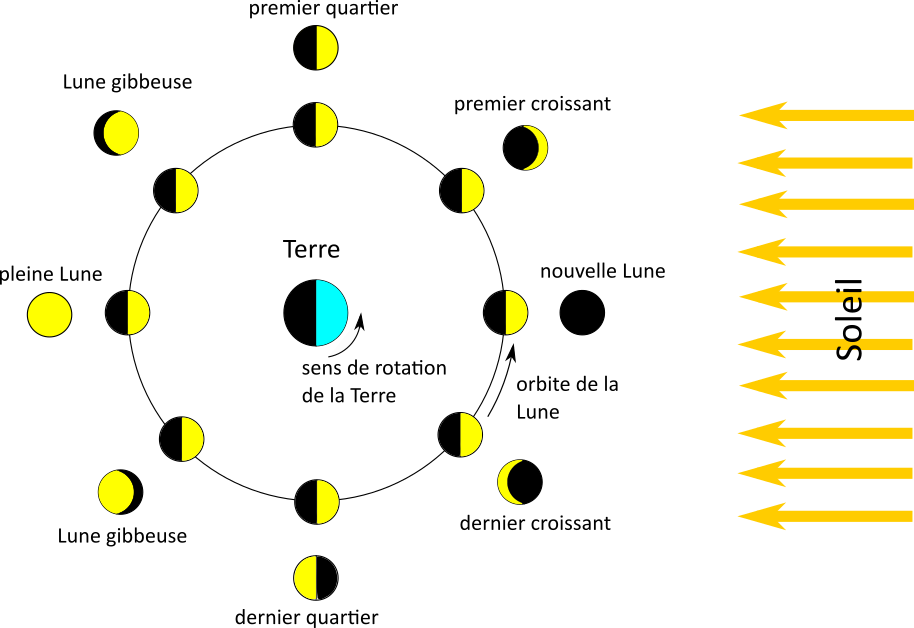 Illustration du principe des phases de la Lune vue depuis un point
au-dessus du plan de révolution de la Lune autour de la Terre. Le
cercle montre l’orbite de la Lune, à l’extérieur duquel est
représentée la Lune telle qu’on la voit depuis l’hémisphère nord de la
Terre à ce moment de son orbite.