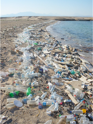 Les déchets plastiques sont absolument partout. Ici une plage de
déchets macroscopiques. Source :  Greenpeace