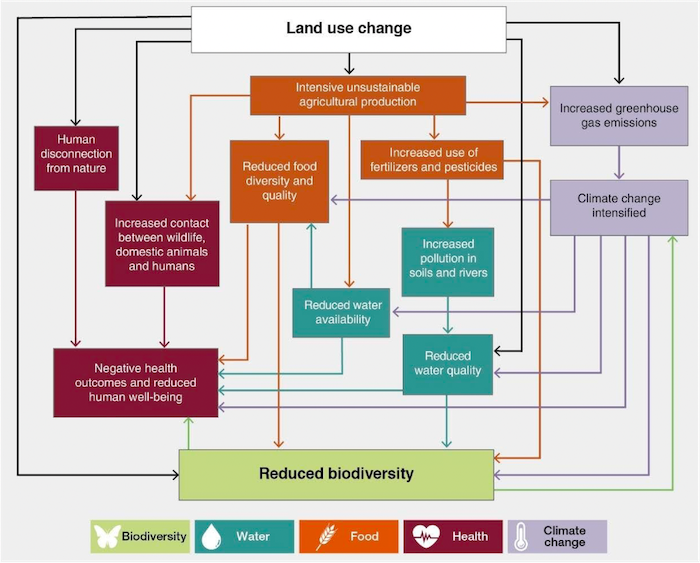 Cette figure illustre l’exemple des impacts du changement d’usage des
sols sur la biodiversité et au final sur la santé humaine. Source : 