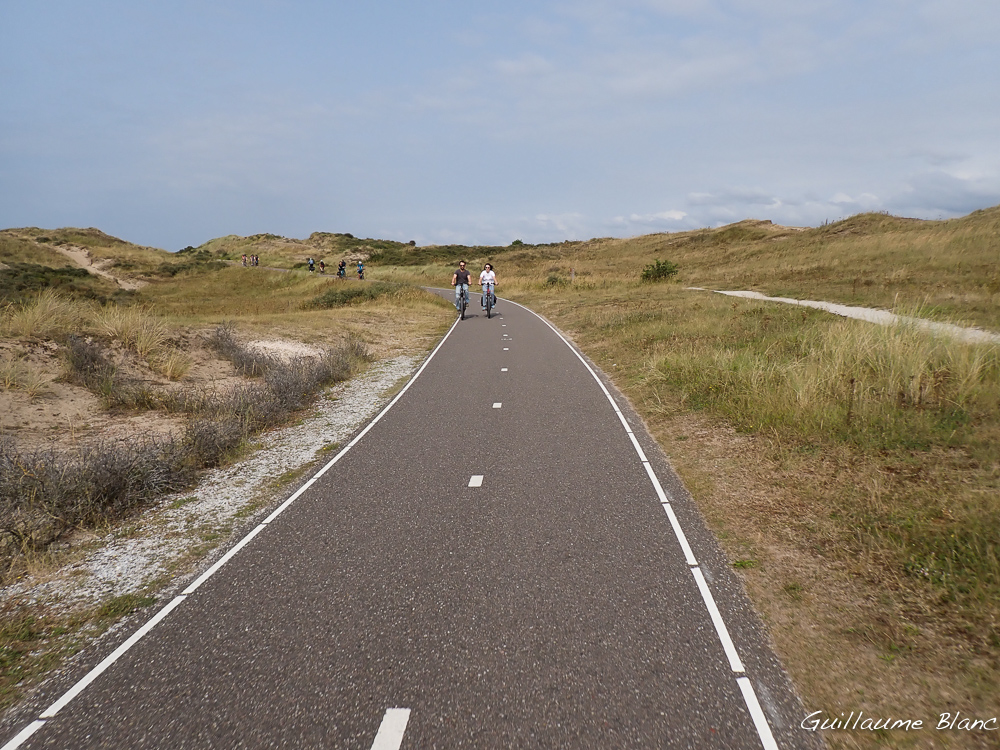 Entre les dunes