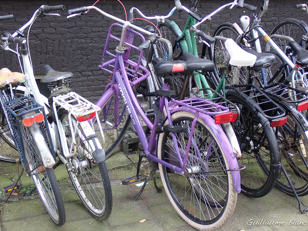 Colorés