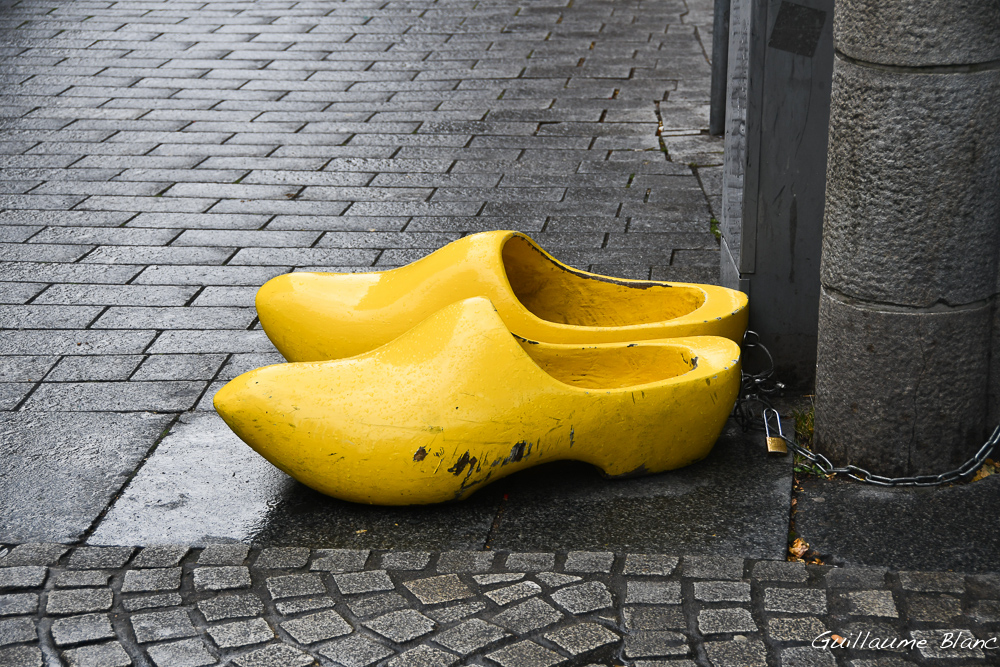 Jaunes