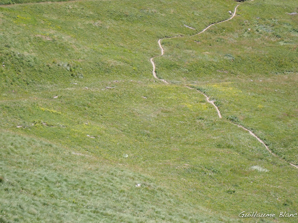 Chemin qui chemine