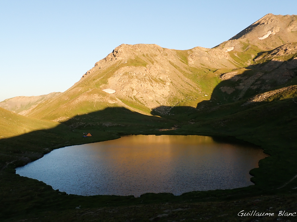 Reflet doré