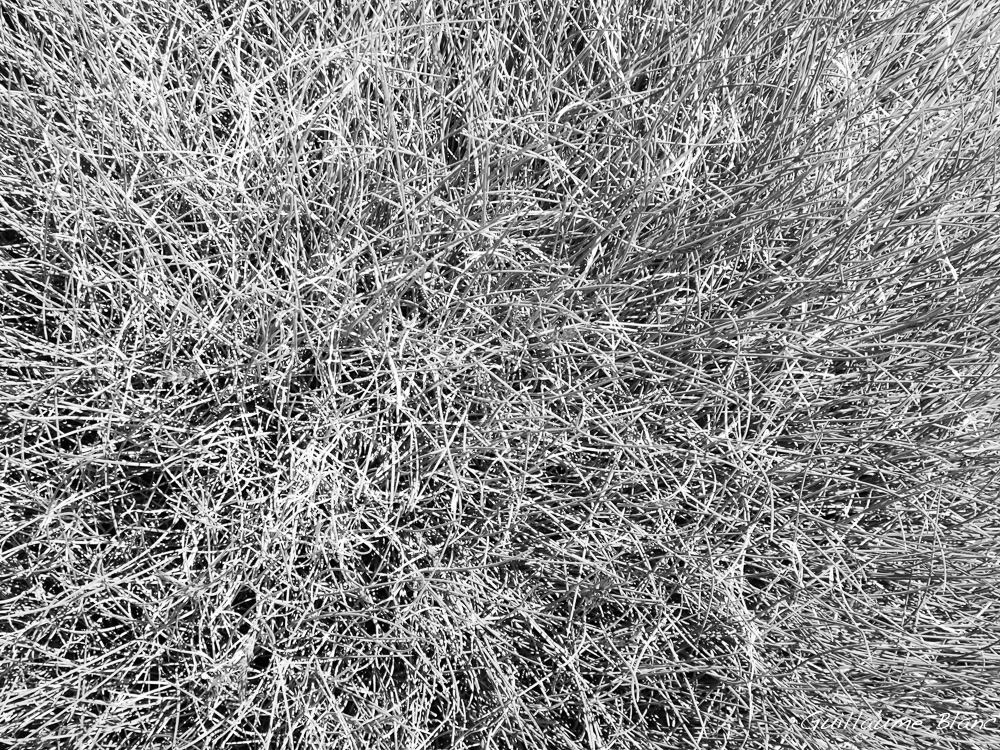 Entrelac
