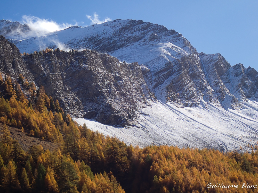 Délicat saupoudrage