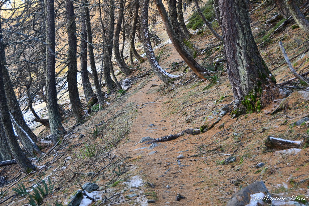 Droit à la verticale