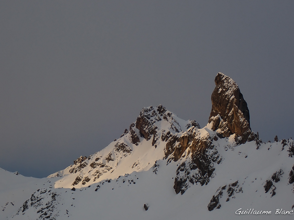 Majestueuse