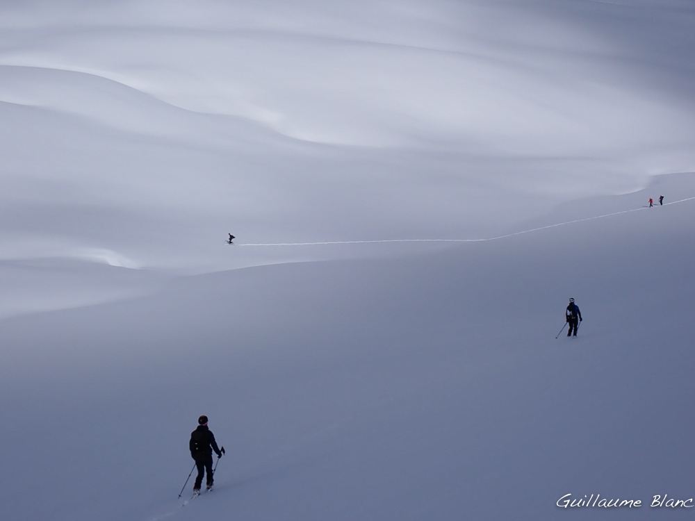 Dans les nuances