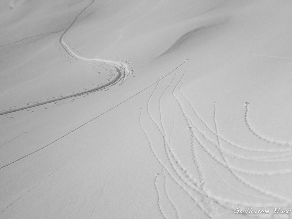 Traces éphémères