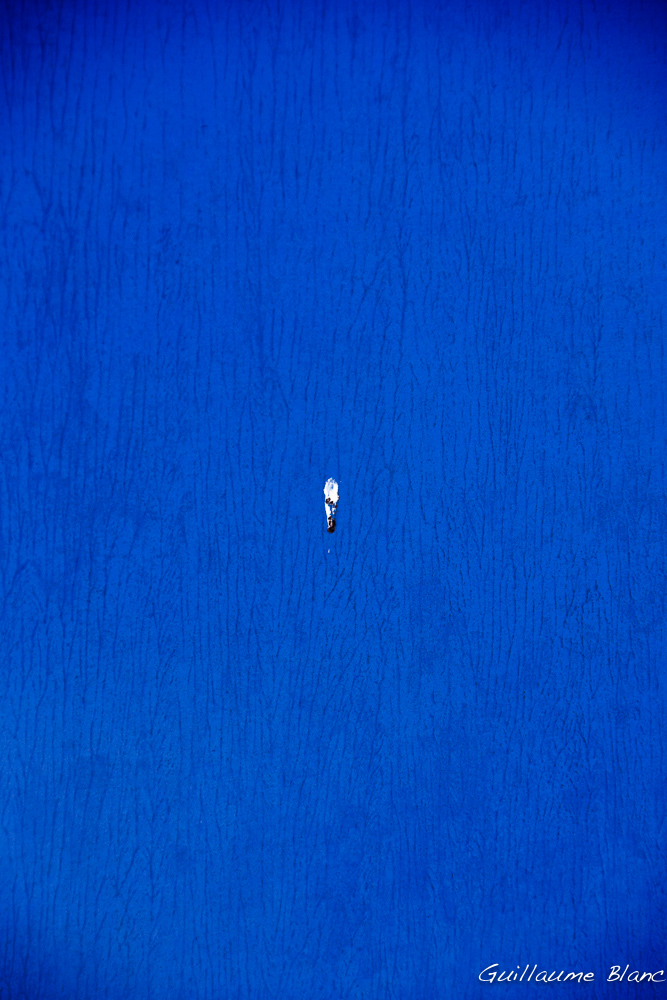 Chiure sur bleu