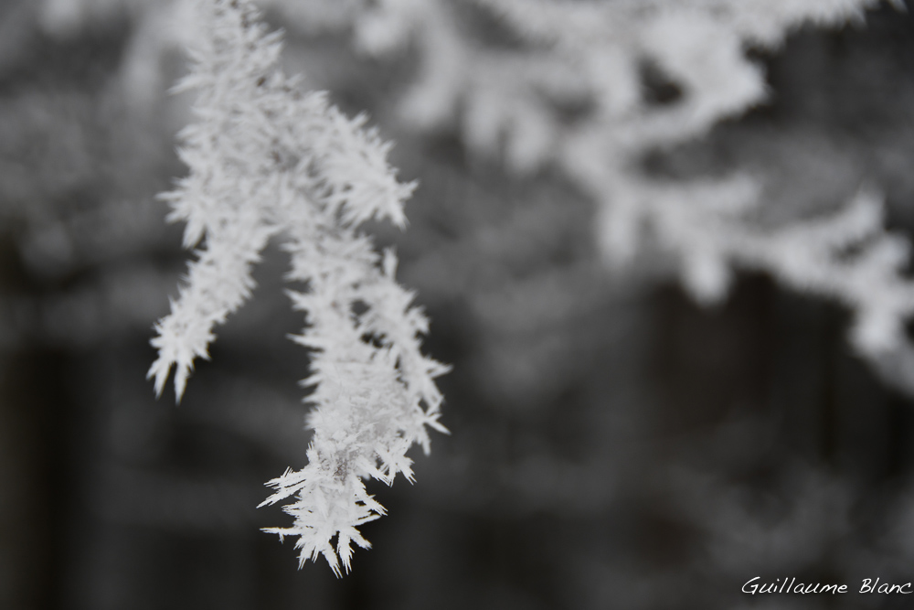 Fragile