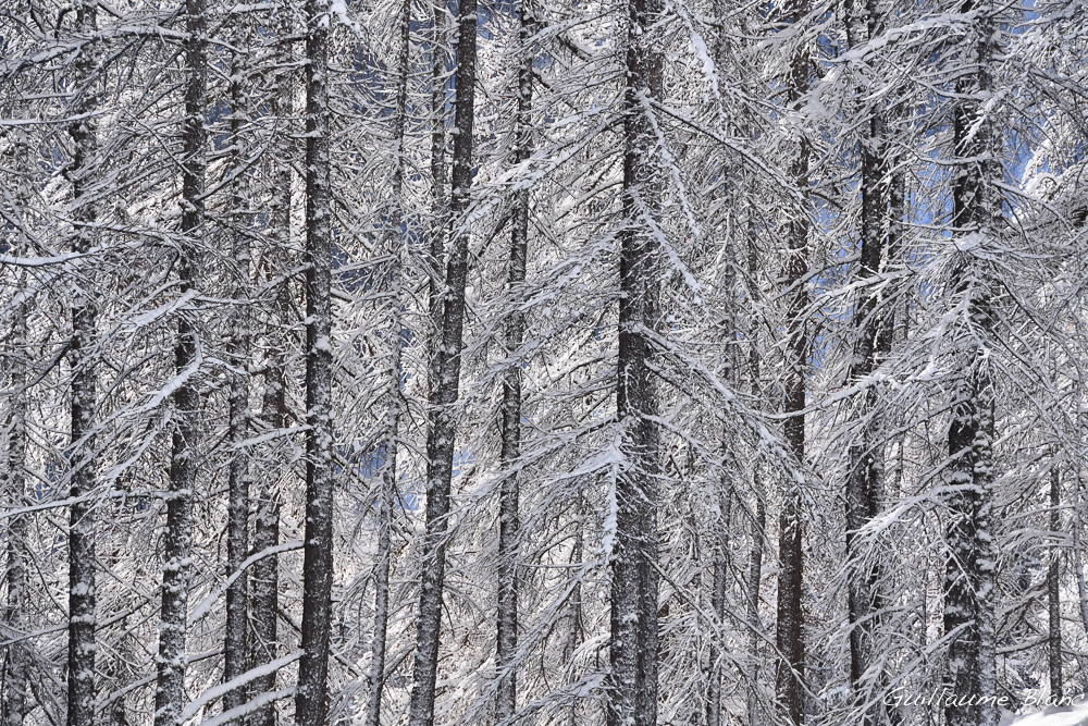 Interstices