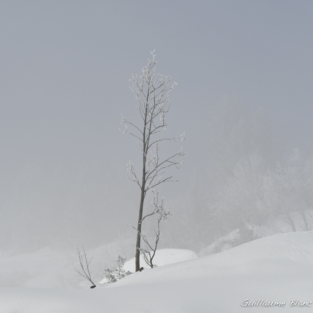 Blancheur