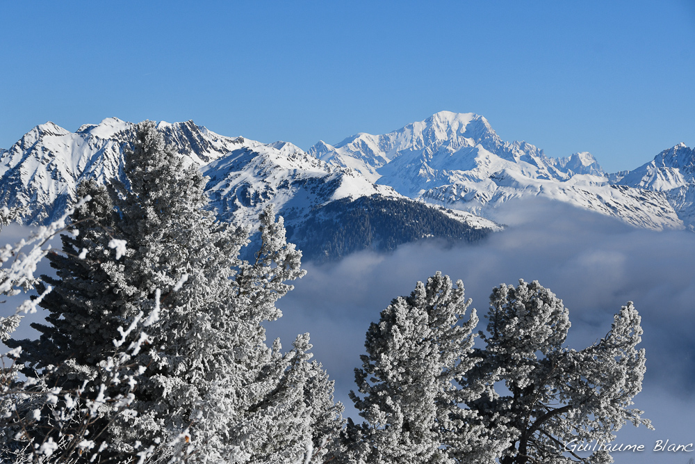 Paysage