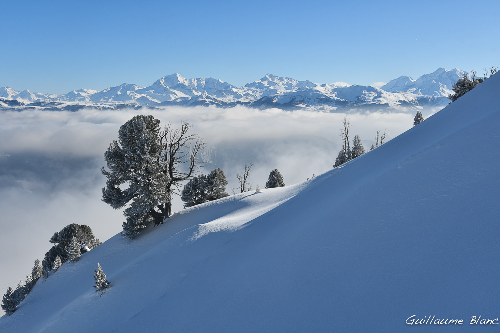 Juste place