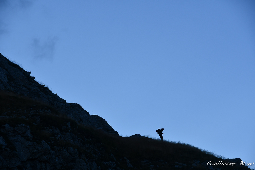 Silhouette