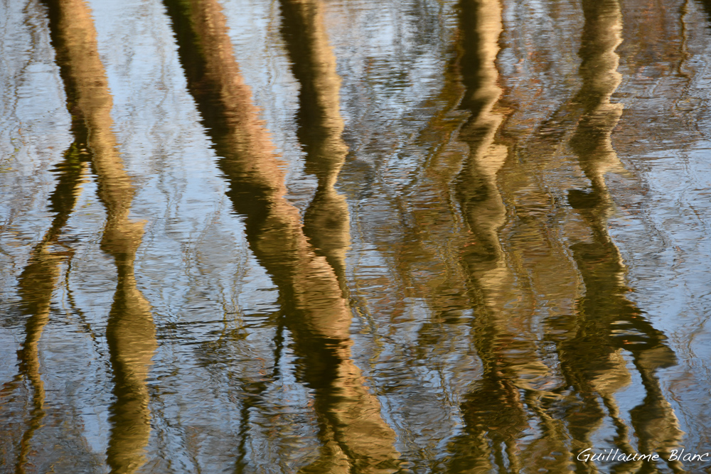 Troublé