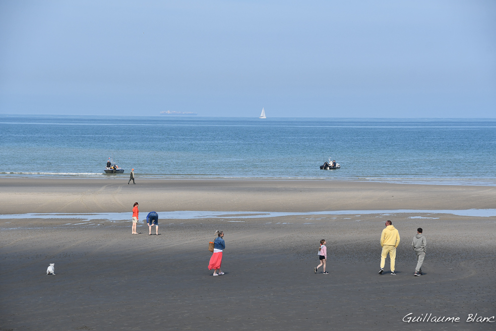 Marée basse