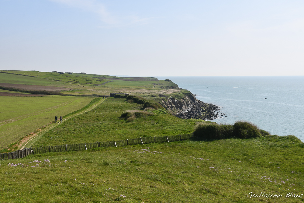 Verdure en falaise