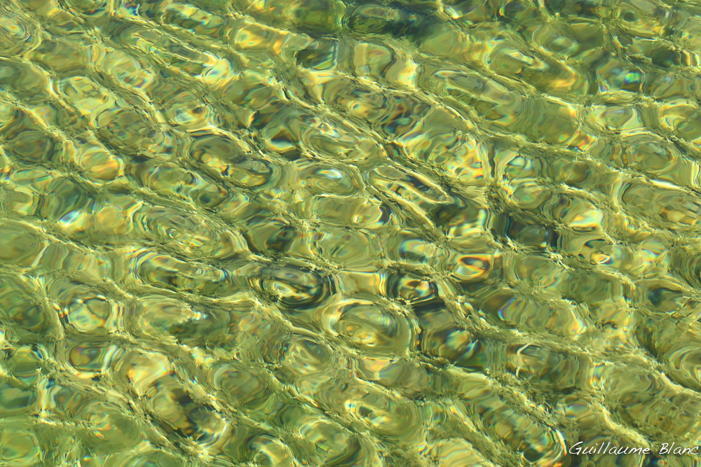 Caustiques et réfraction