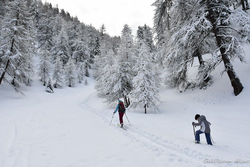 Patauger, pour voir ! 