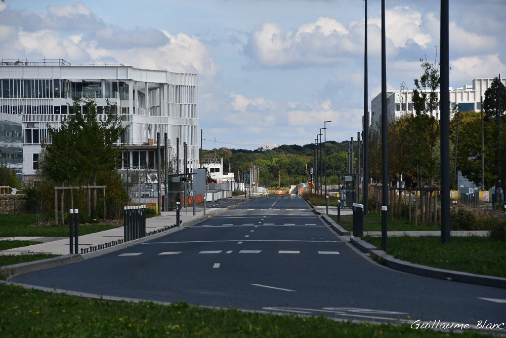 Avenue