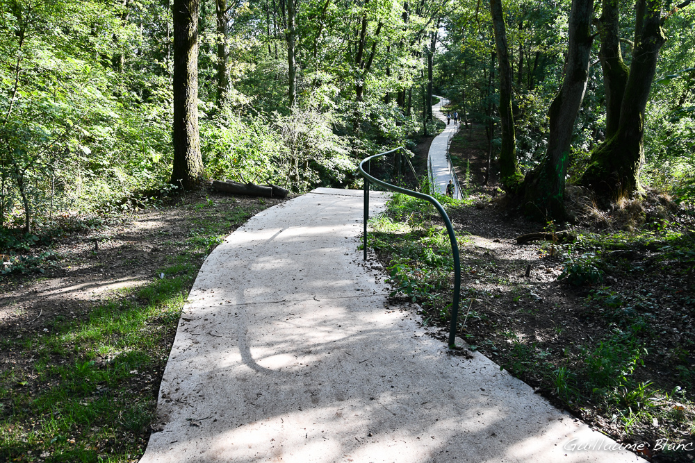 Accés, forêt dévastée