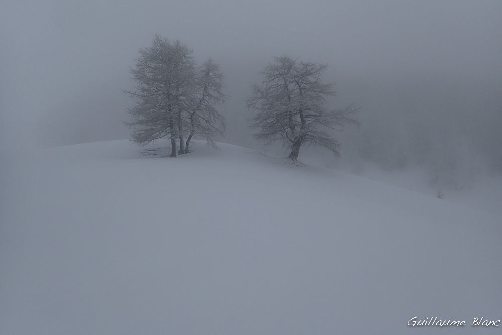 Apparition