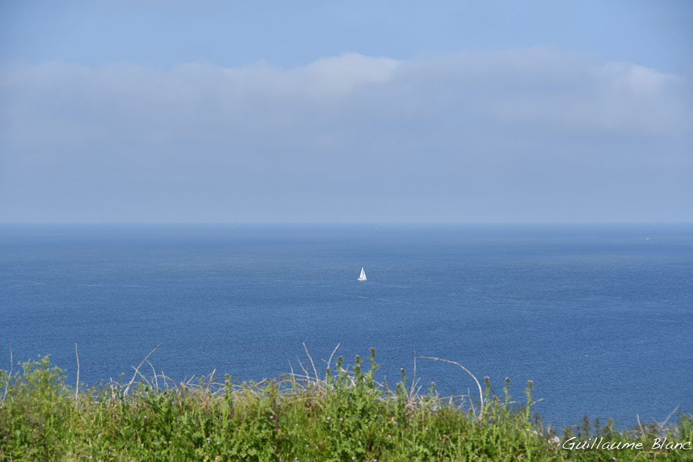 Vert blanc bleu