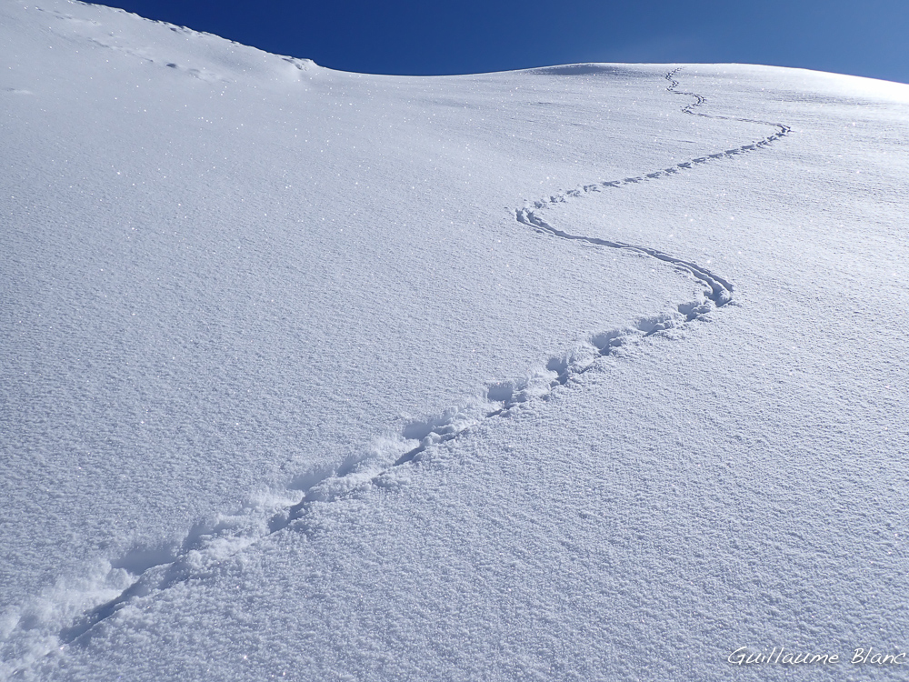 Trajectoire