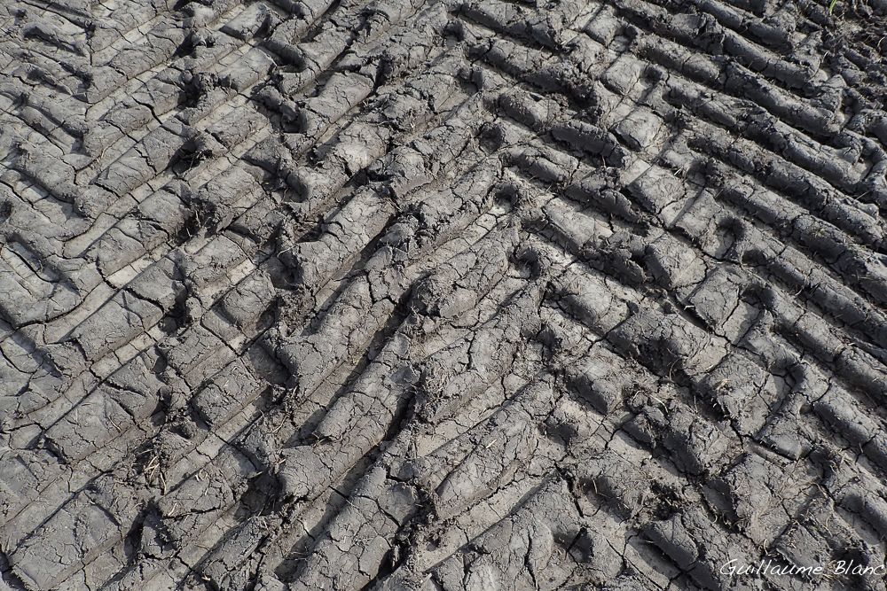 Traces